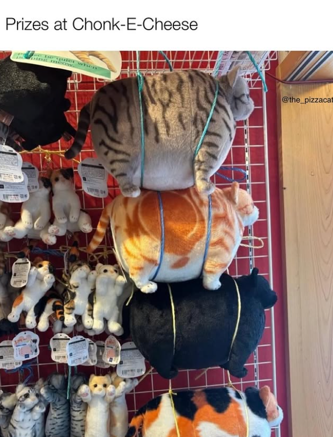 Prizes at Chonk-E-Cheese be quiet when bing meow GE @the_pizzacat
