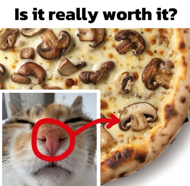 Is it really worth it?