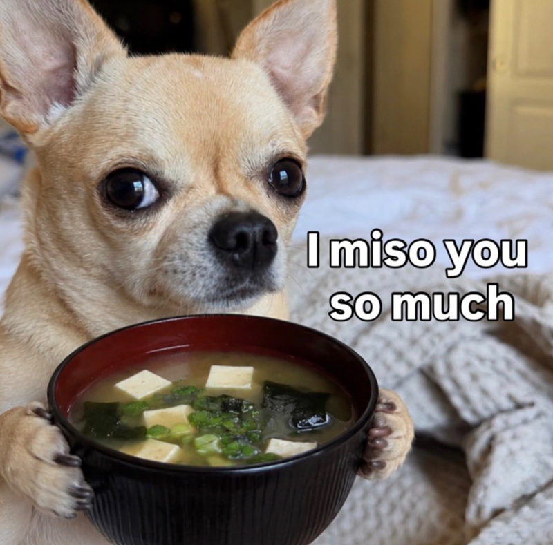 I miso you so much