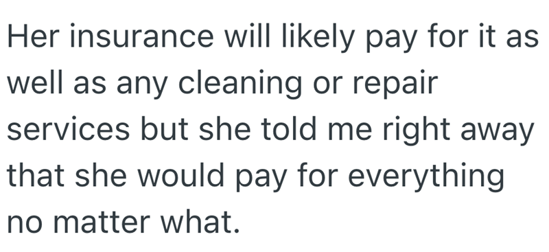 Her insurance will likely pay for it as well as any cleaning or repair services but she told me right away that she would pay for everything no matter what.