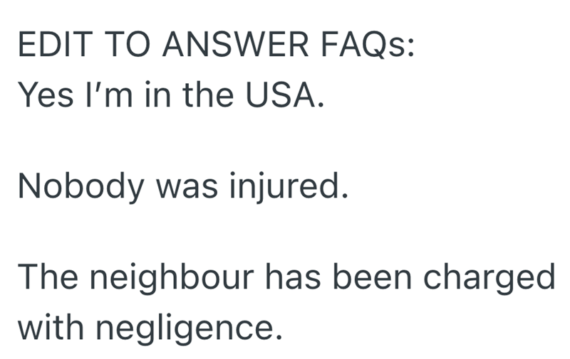 EDIT TO ANSWER FAQs: Yes I'm in the USA. Nobody was injured. The neighbour has been charged with negligence.