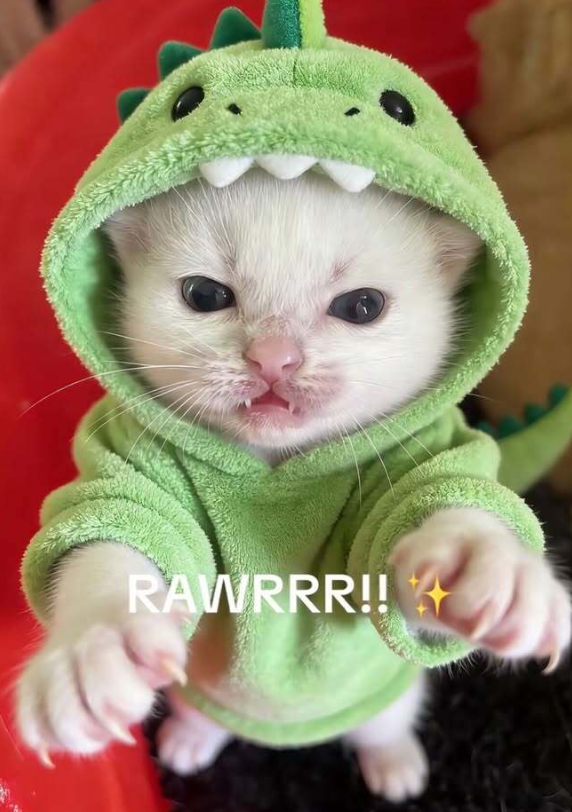 RAWRRR!!
