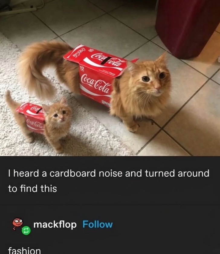 MO) 12 Coca Cola Coca-Cola BANG Coca Coca-Cola I heard a cardboard noise and turned around to find this mackflop Follow fashion