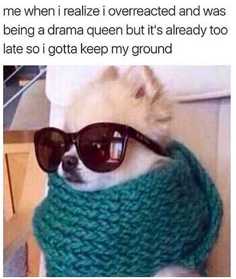 me when i realize i overreacted and was being a drama queen but it's already too late so i gotta keep my ground