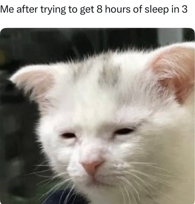 Me after trying to get 8 hours of sleep in 3