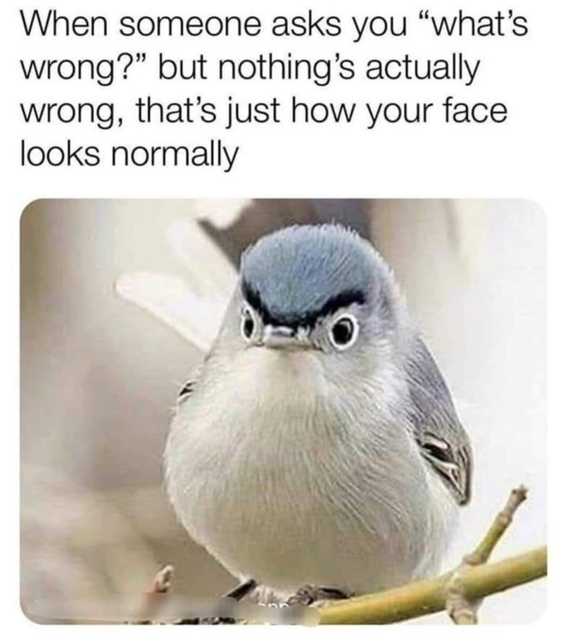When someone asks you "what's wrong?" but nothing's actually wrong, that's just how your face looks normally