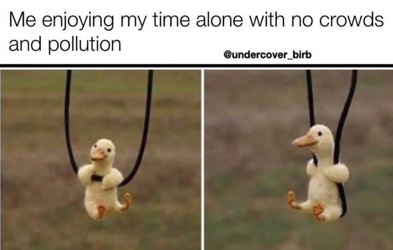 Me enjoying my time alone with no crowds. and pollution @undercover_birb