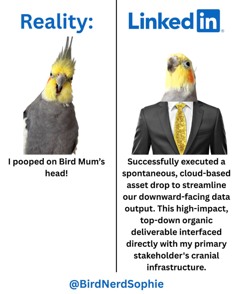Reality: Linked in I pooped on Bird Mum's head! Successfully executed a spontaneous, cloud-based asset drop to streamline our downward-facing data output. This high-impact, top-down organic deliverable interfaced directly with my primary stakeholder's cranial infrastructure. @BirdNerdSophie