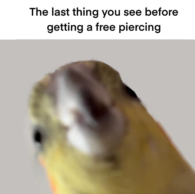 The last thing you see before getting a free piercing