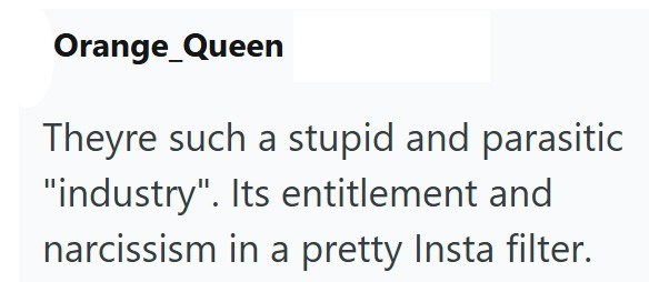 Orange Queen Theyre such a stupid and parasitic "industry". Its entitlement and narcissism in a pretty Insta filter.