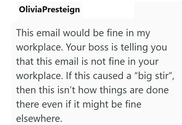 Olivia Presteign This email would be fine in my workplace. Your boss is telling you that this email is not fine in your workplace. If this caused a "big stir", then this isn't how things are done there even if it might be fine elsewhere.