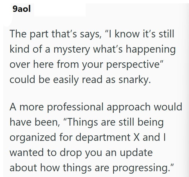 9aol The part that's says, "I know it's still kind of a mystery what's happening over here from your perspective" could be easily read as snarky. A more professional approach would have been, "Things are still being organized for department X and I wanted to drop you an update about how things are progressing."