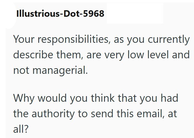 Illustrious-Dot-5968 Your responsibilities, as you currently describe them, are very low level and not managerial. Why would you think that you had the authority to send this email, at all?