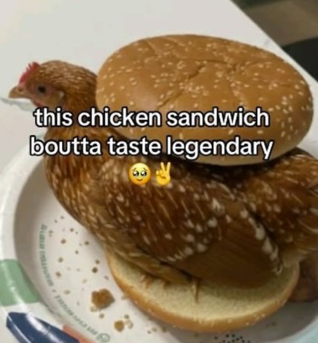 this chicken sandwich boutta taste legendary