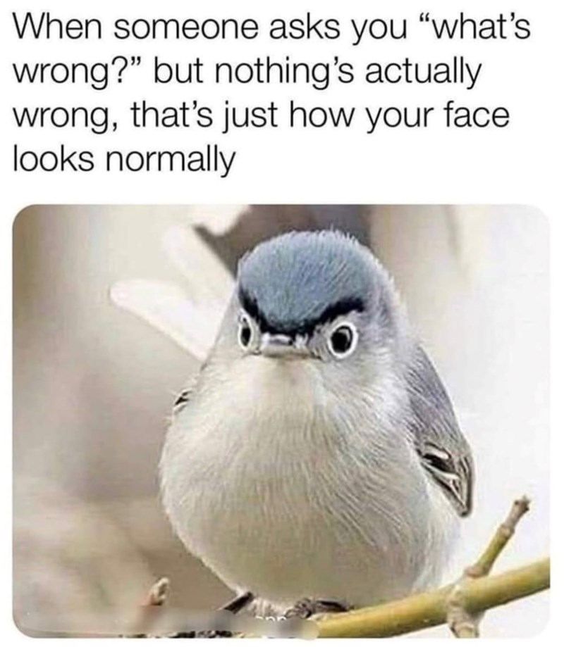 When someone asks you "what's wrong?" but nothing's actually wrong, that's just how your face looks normally