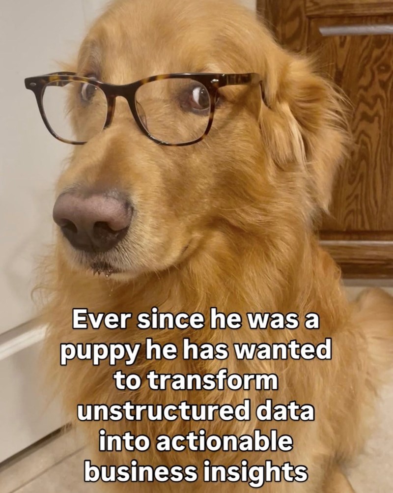 Ever since he was a puppy he has wanted to transform unstructured data into actionable business insights