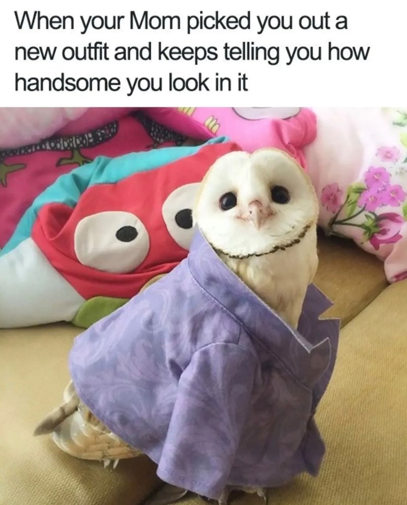 When your Mom picked you out a new outfit and keeps telling you how handsome you look in it
