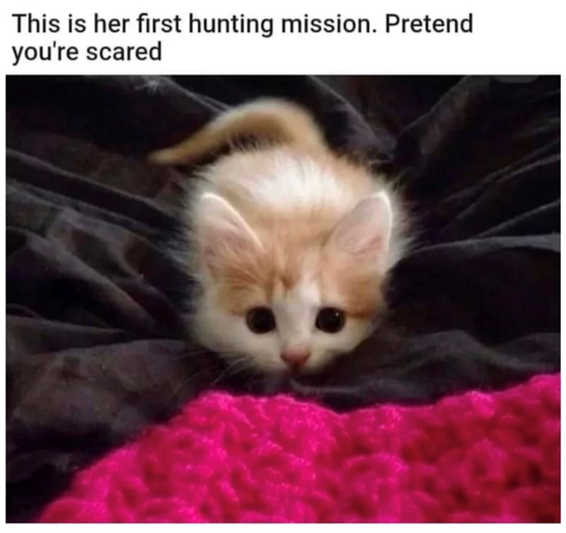 This is her first hunting mission. Pretend you're scared