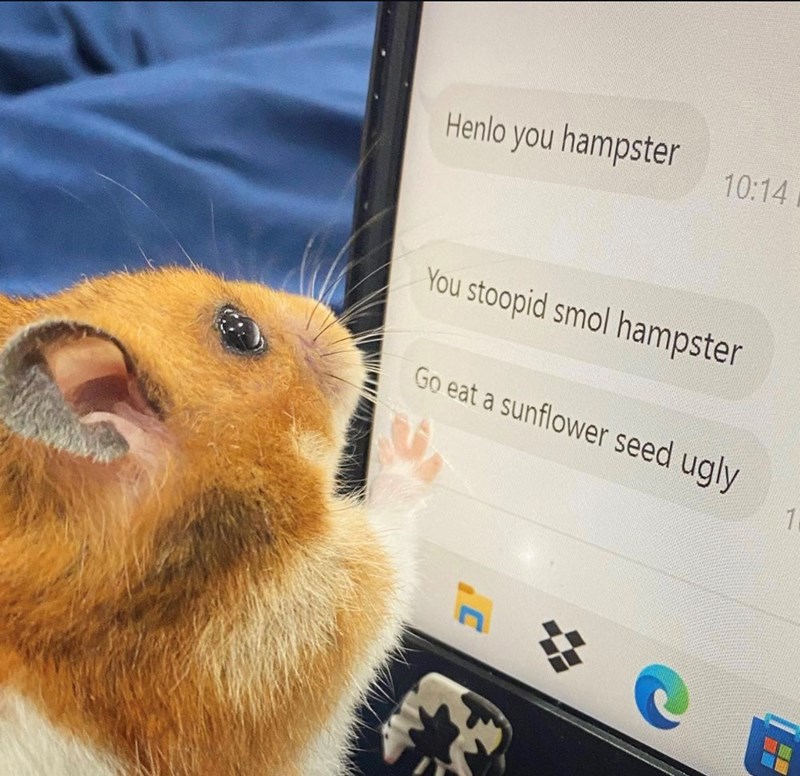Henlo you hampster 10:14 You stoopid smol hampster Go eat a sunflower seed ugly 1
