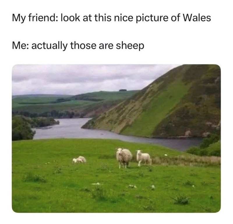 My friend: look at this nice picture of Wales Me: actually those are sheep