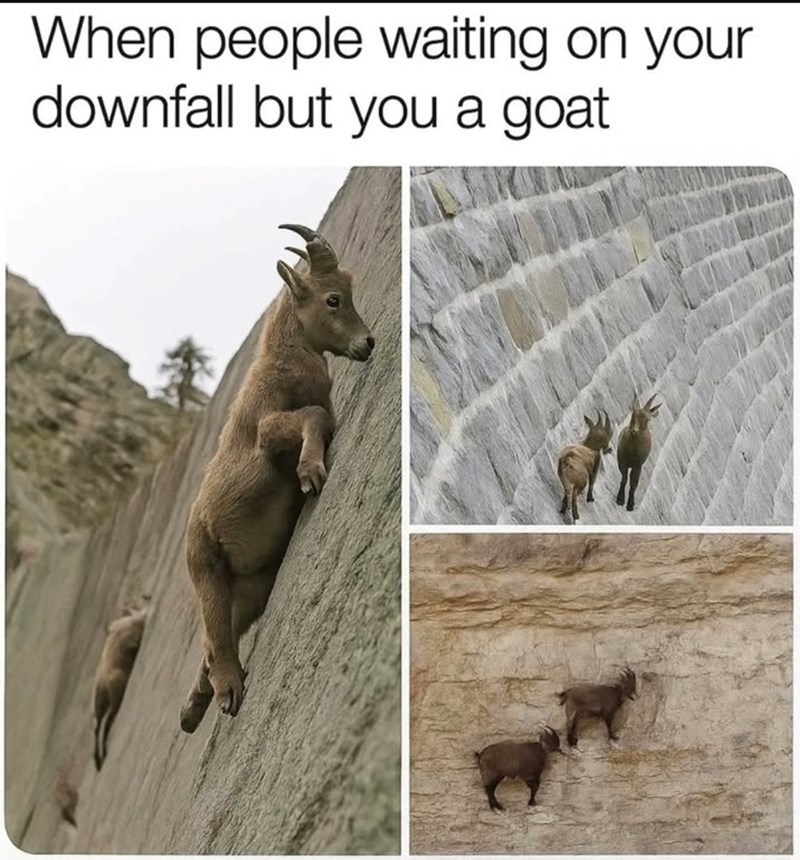 When people waiting on your downfall but you a goat