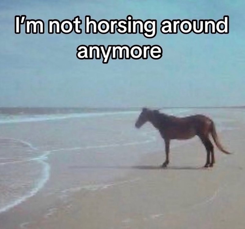 I'm not horsing around anymore