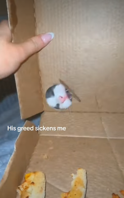 His greed sickens me