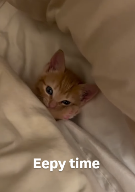 Eepy time