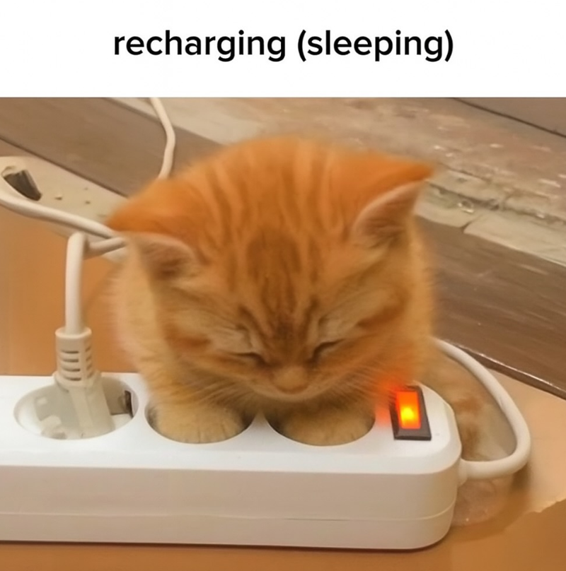 recharging (sleeping)