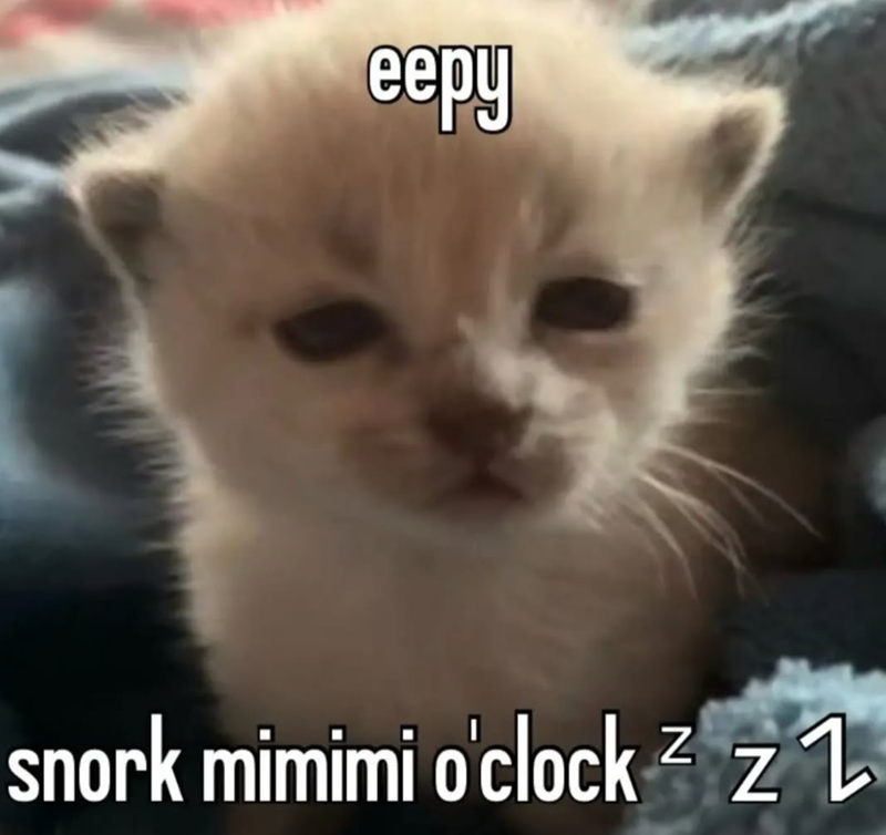 eepy snork mimimi o'clock 2 z 1 Z ZZ