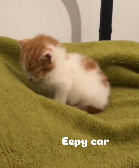 Eepy car