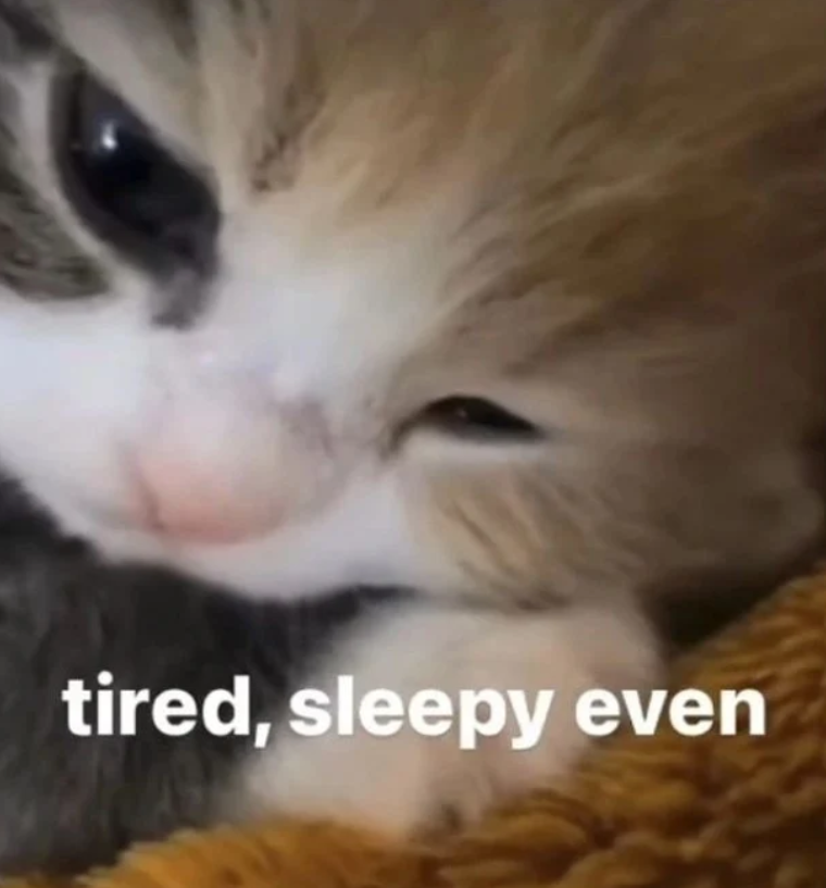 tired, sleepy even
