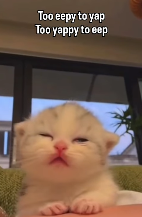 Too eepy to yap Too yappy to eep