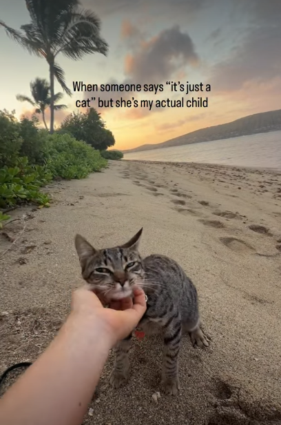 When someone says "it's just a cat" but she's my actual child