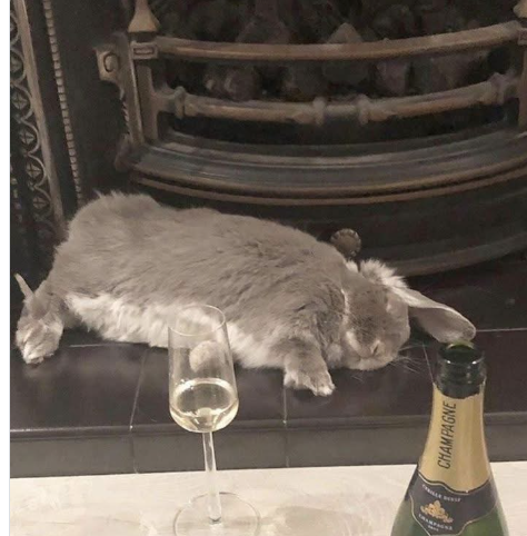 CHAMPAGNE