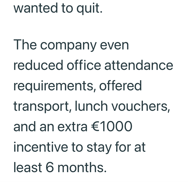 wanted to quit. The company even reduced office attendance requirements, offered transport, lunch vouchers, and an extra €1000 incentive to stay for at least 6 months.