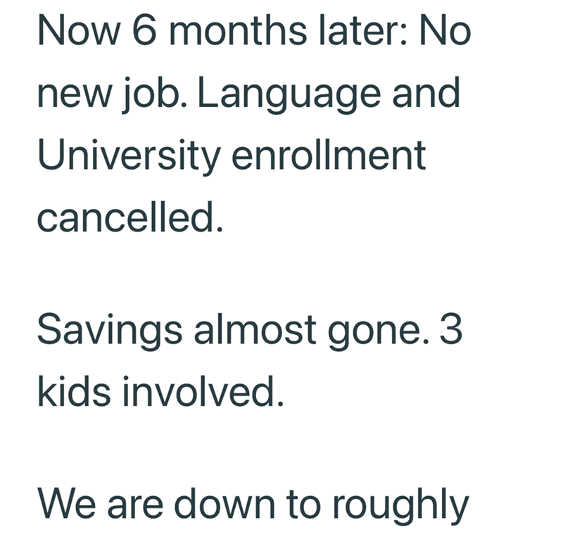 Now 6 months later: No new job. Language and University enrollment cancelled. Savings almost gone. 3 kids involved. We are down to roughly