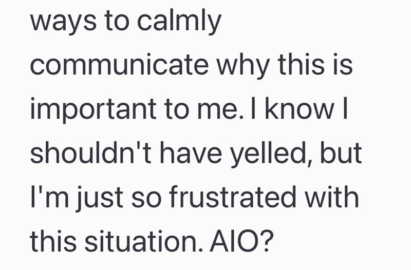 ways to calmly communicate why this is important to me. I know I shouldn't have yelled, but I'm just so frustrated with this situation. AIO?