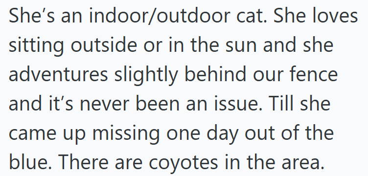 She's an indoor/outdoor cat. She loves sitting outside or in the sun and she adventures slightly behind our fence and it's never been an issue. Till she came up missing one day out of the blue. There are coyotes in the area.