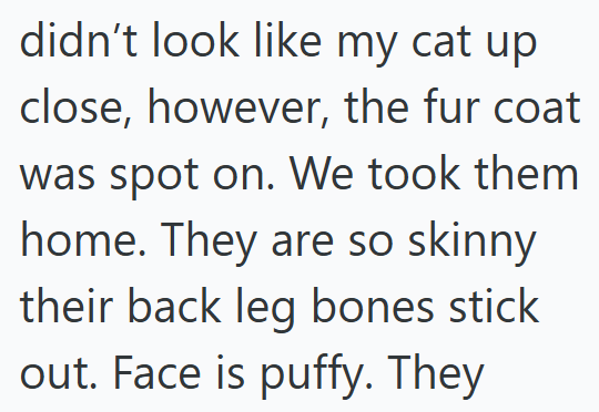 didn't look like my cat up close, however, the fur coat was spot on. We took them home. They are so skinny their back leg bones stick out. Face is puffy. They