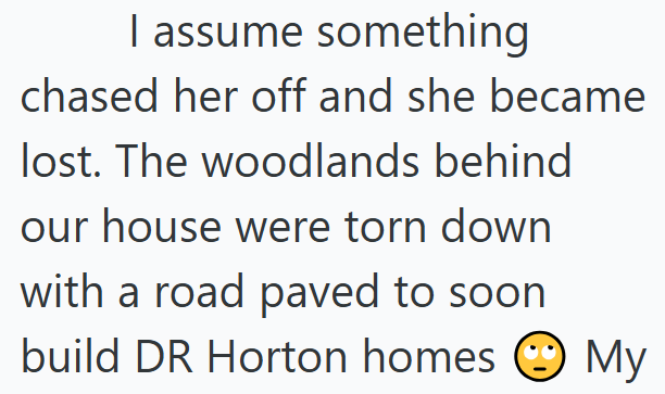 I assume something chased her off and she became lost. The woodlands behind our house were torn down with a road paved to soon build DR Horton homes My