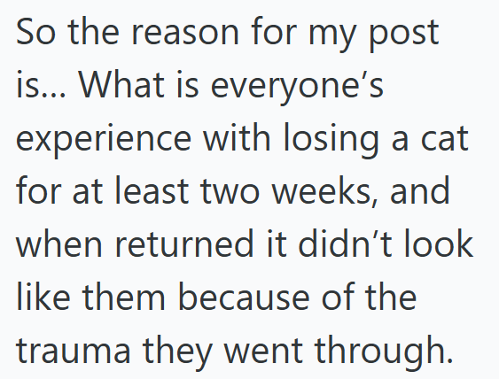 So the reason for my post is... What is everyone's experience with losing a cat for at least two weeks, and when returned it didn't look like them because of the trauma they went through.