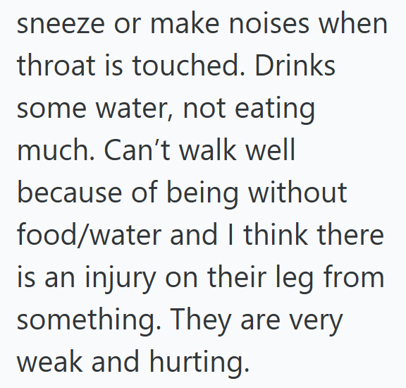 sneeze or make noises when throat is touched. Drinks some water, not eating much. Can't walk well because of being without food/water and I think there is an injury on their leg from something. They are very weak and hurting.