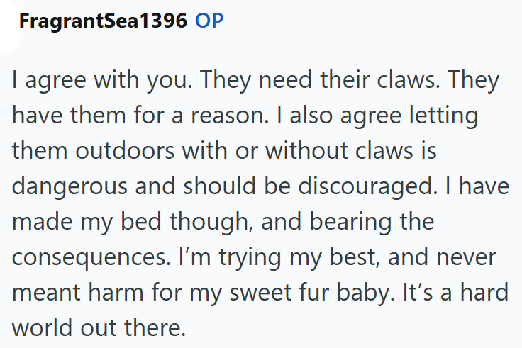 FragrantSea1396 OP I agree with you. They need their claws. They have them for a reason. I also agree letting them outdoors with or without claws is dangerous and should be discouraged. I have made my bed though, and bearing the consequences. I'm trying my best, and never meant harm for my sweet fur baby. It's a hard world out there.