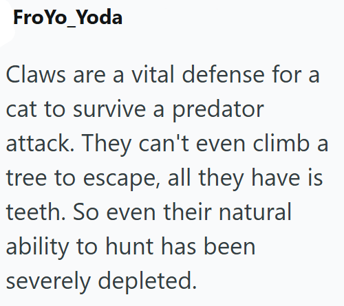 FroYo Yoda Claws are a vital defense for a cat to survive a predator attack. They can't even climb a tree to escape, all they have is teeth. So even their natural ability to hunt has been severely depleted.
