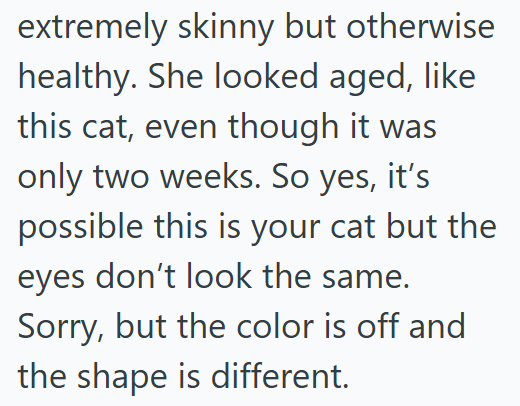 extremely skinny but otherwise healthy. She looked aged, like this cat, even though it was only two weeks. So yes, it's possible this is your cat but the eyes don't look the same. Sorry, but the color is off and the shape is different.