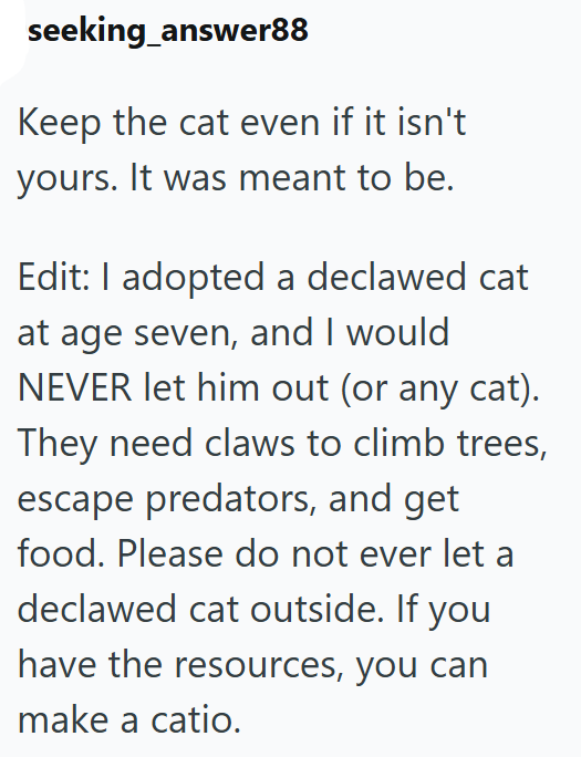seeking_answer88 Keep the cat even if it isn't yours. It was meant to be. Edit: I adopted a declawed cat at age seven, and I would NEVER let him out (or any cat). They need claws to climb trees, escape predators, and get food. Please do not ever let a declawed cat outside. If you have the resources, you can make a catio.