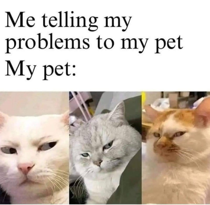 Me telling my problems to my pet My pet: