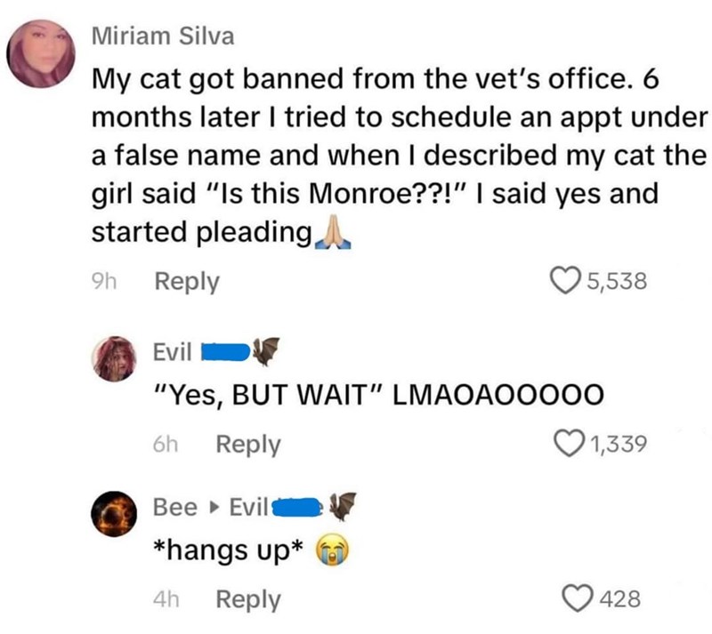 Miriam Silva My cat got banned from the vet's office. 6 months later I tried to schedule an appt under a false name and when I described my cat the girl said "Is this Monroe??!" I said yes and started pleading 9h Reply 5,538 Evil "Yes, BUT WAIT" LMAOAOO000 6h Reply Bee Evil *hangs up* 4h Reply 1,339 428