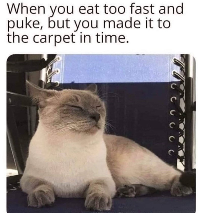 When you eat too fast and puke, but you made it to the carpet in time. T 416